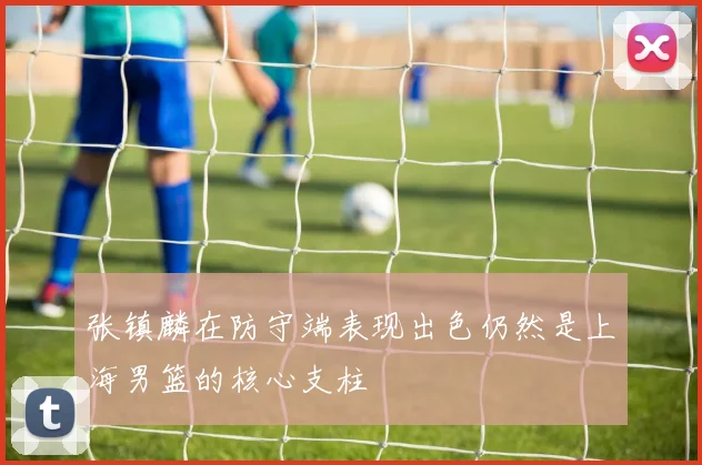 张镇麟在防守端表现出色仍然是上海男篮的核心支柱